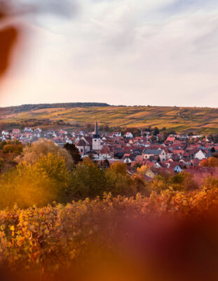 Photo d'un paysage qui donne sur un ville alsacien